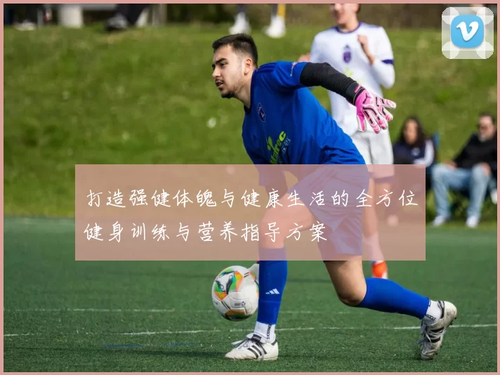 打造强健体魄与健康生活的全方位健身训练与营养指导方案