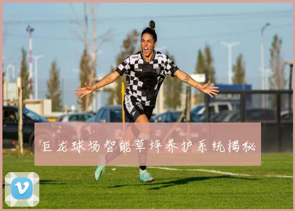 巨龙球场智能草坪养护系统揭秘