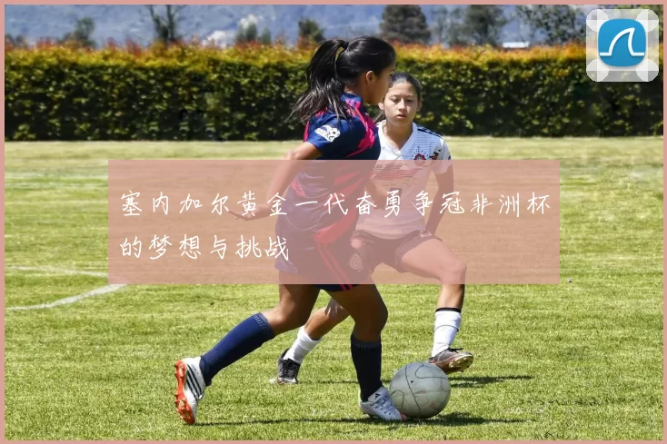 塞内加尔黄金一代奋勇争冠非洲杯的梦想与挑战