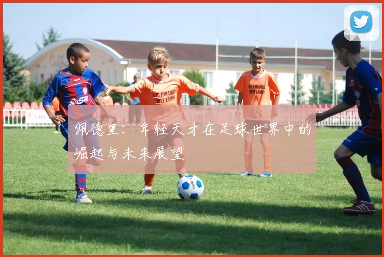 佩德里：年轻天才在足球世界中的崛起与未来展望