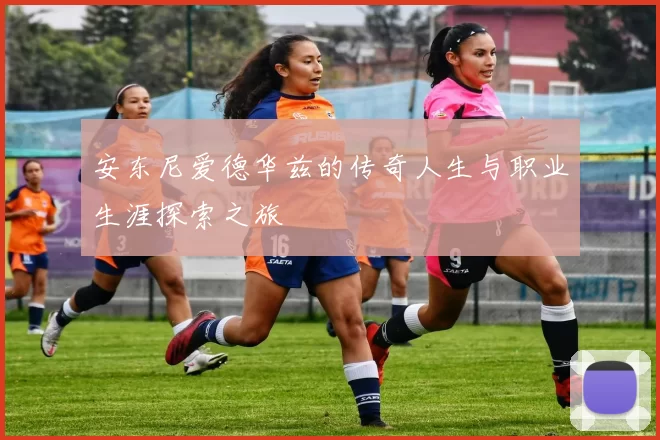 安东尼爱德华兹的传奇人生与职业生涯探索之旅