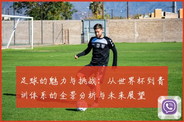 足球的魅力与挑战：从世界杯到青训体系的全景分析与未来展望