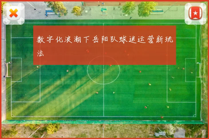 数字化浪潮下岳阳队球迷运营新玩法